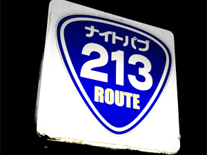 ナイトパブ213